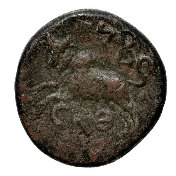 Aradus Duyrat 2005 4422-4602, реверс, bnf-iris