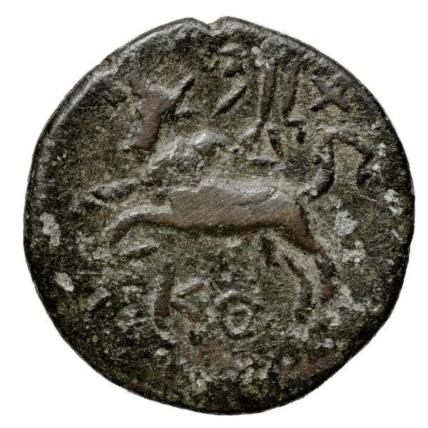 Aradus Duyrat 2005 4422-4602, реверс, bnf-iris