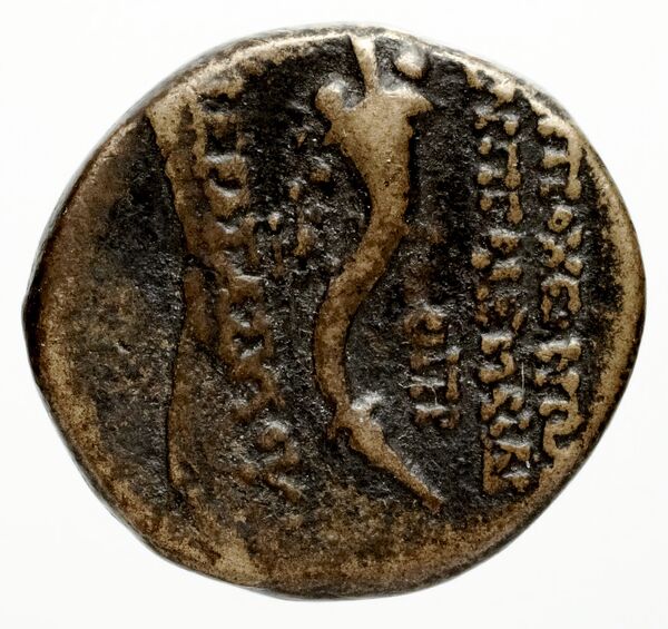 Ptolemais-Ake Kadman 1961 11-44, реверс, BnF (IRIS)
