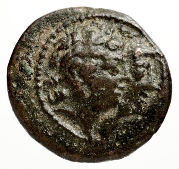 Ptolemais-Ake Kadman 1961 11-44, аверс, BnF (IRIS)