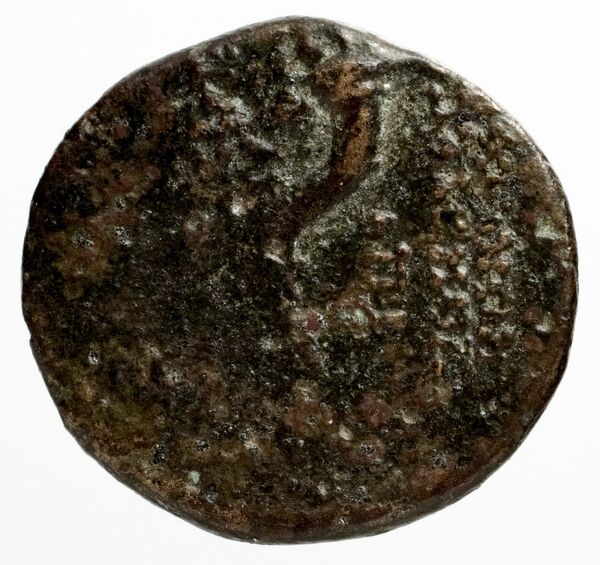 Ptolemais-Ake Kadman 1961 11-44, реверс, BnF (IRIS)