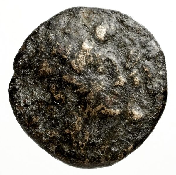 Ptolemais-Ake Kadman 1961 11-44, аверс, BnF (IRIS)