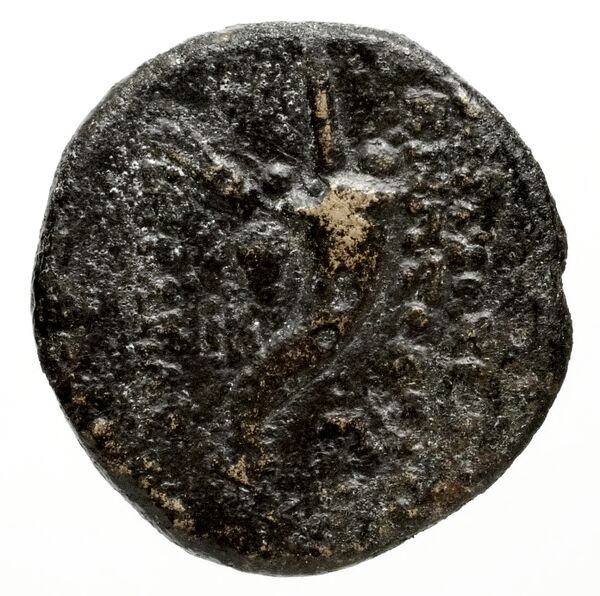 Ptolemais-Ake Kadman 1961 11-44, реверс, BnF (IRIS)
