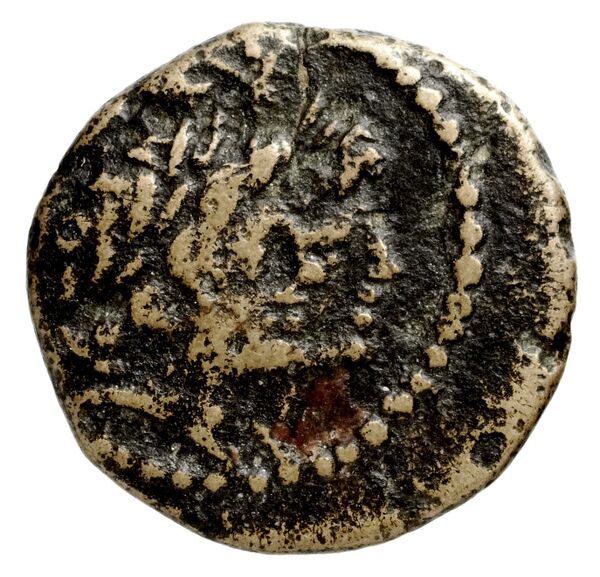 Ptolemais-Ake Kadman 1961 11-44, аверс, BnF (IRIS)
