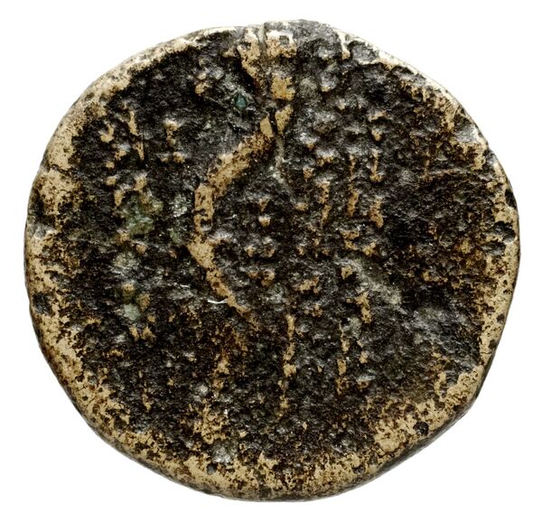Ptolemais-Ake Kadman 1961 11-44, реверс, BnF (IRIS)