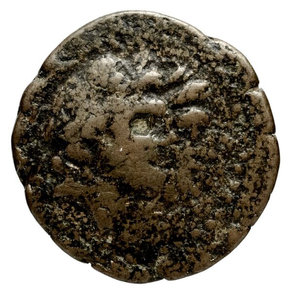 Ptolemais-Ake Kadman 1961 11-44, аверс, BnF (IRIS)