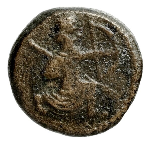 Sidon Elayi 2004 IV.7.7, реверс, bnf-iris