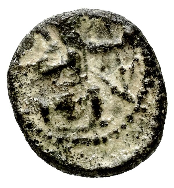 Sidon Elayi 2004 IV.7.7, реверс, bnf-iris