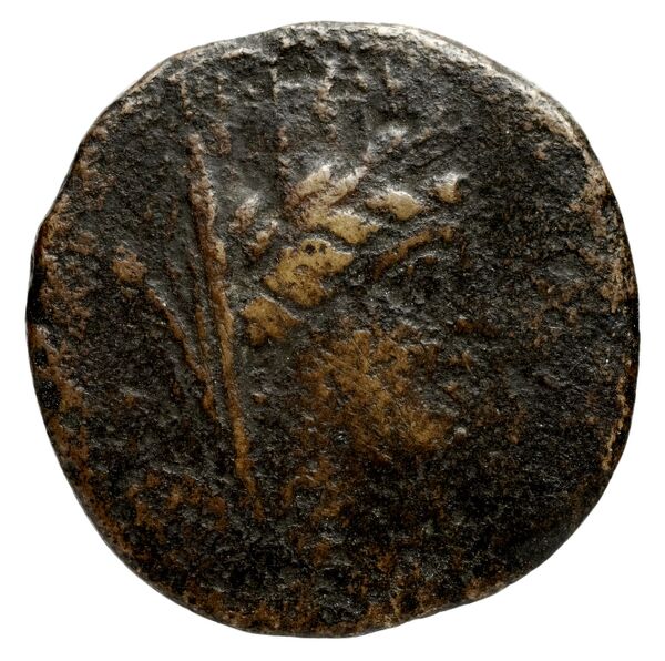 Sidon Hoover 2010 282, 293, 295, аверс, bnf-iris
