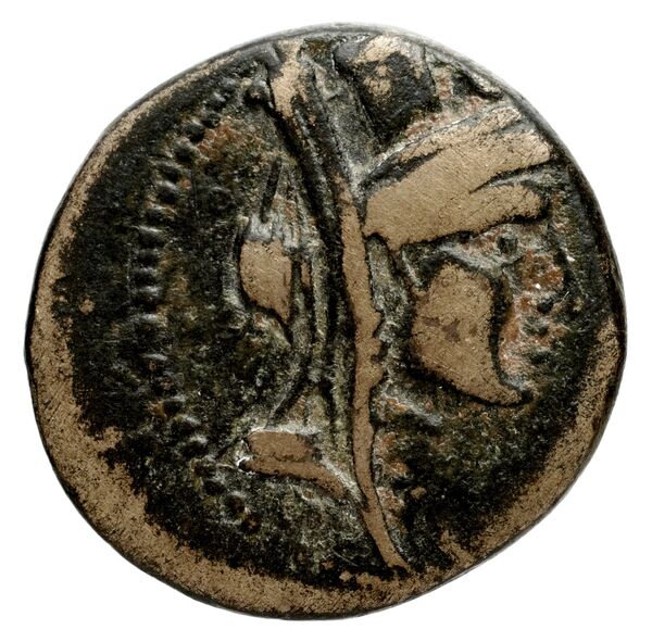 Sidon Hoover 2010 282, 293, 295, аверс, bnf-iris