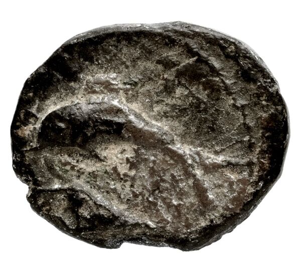 Tyre Elayi 2009 III.1.2.a-b, аверс, bnf-iris