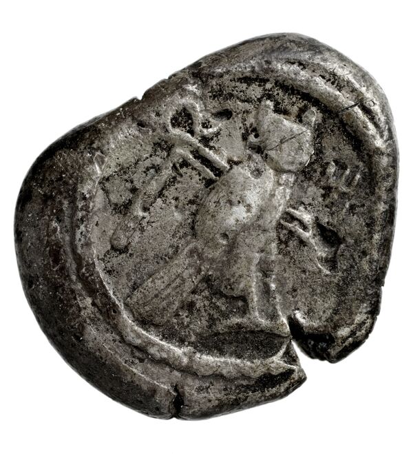Tyre Elayi 2009 II.1.2.1, реверс, bnf-iris