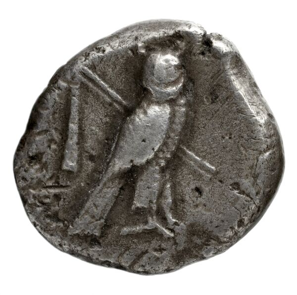 Tyre Elayi 2009 II.1.1.1, реверс, bnf-iris
