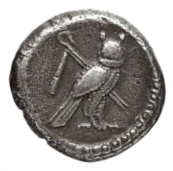 Tyre Elayi 2009 II.1.1.1, реверс, bnf-iris