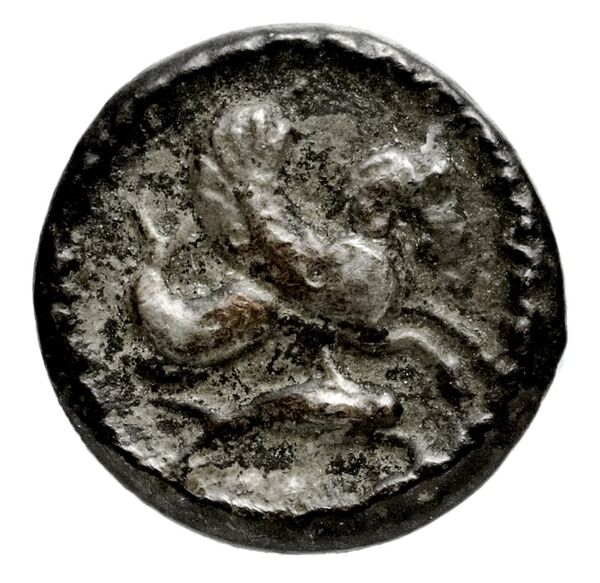 Tyre Elayi 2009 III.1.1.a-c, аверс, bnf-iris