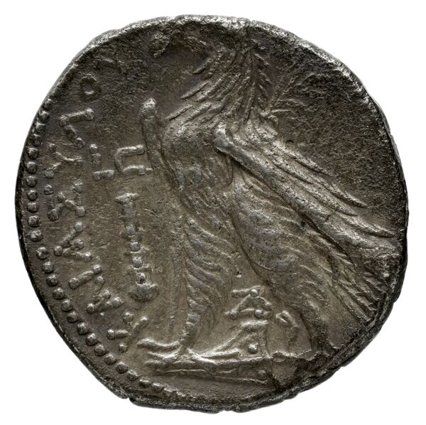 Tyre BMC Tyre 44-245, реверс, bnf-iris