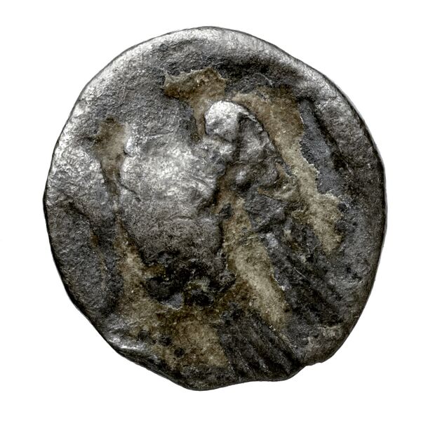 Cilicia SNG Levante 228, реверс, bnf-iris