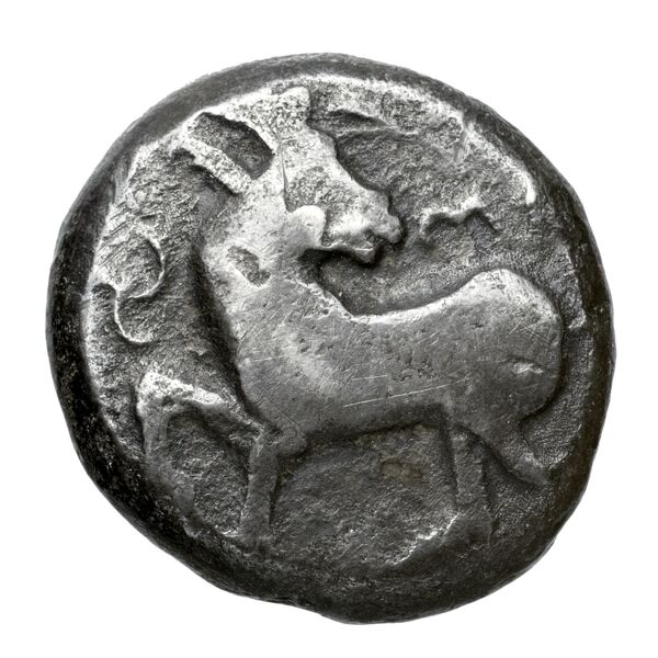 obverse Lycia Hoff 2017 M98