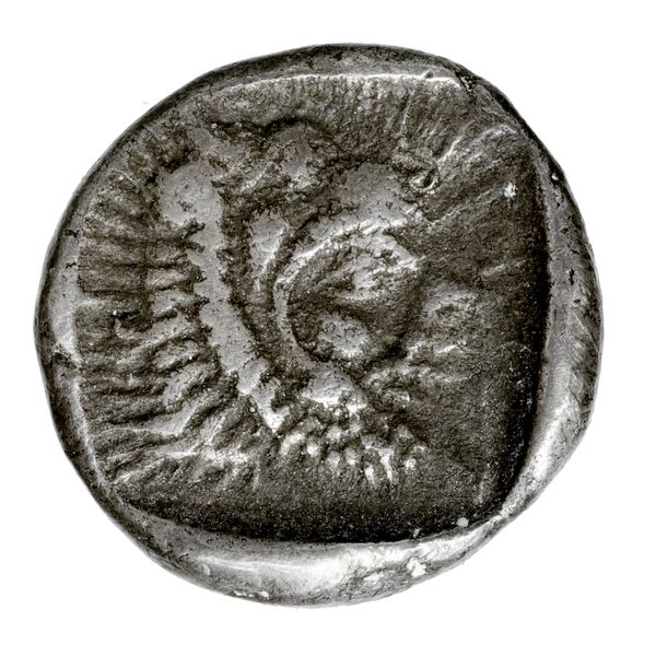 Lycia Hoff 2017 M114, реверс, bnf-iris
