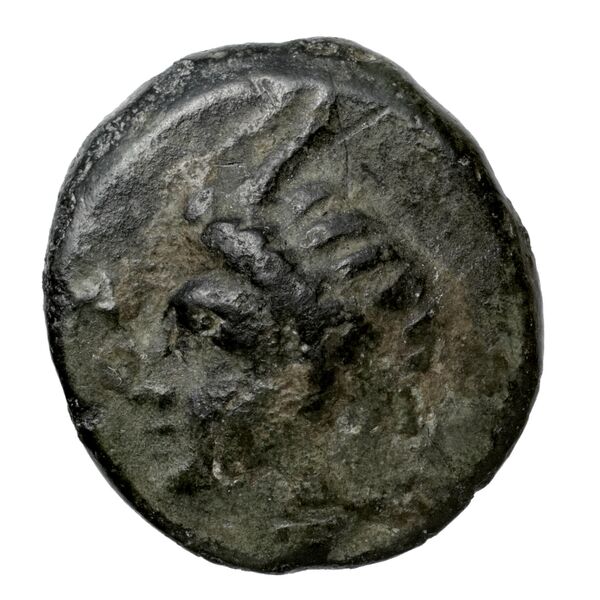 Perikles Lycia Hoff 2017 M244, аверс, bnf-iris