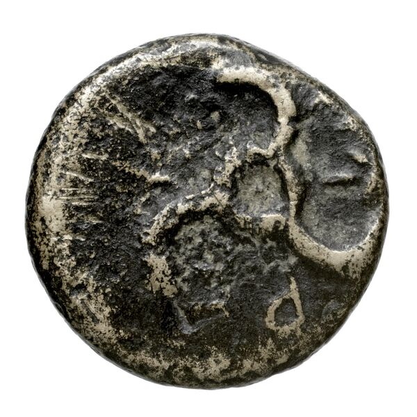 Perikles Lycia Hoff 2017 M244, реверс, bnf-iris