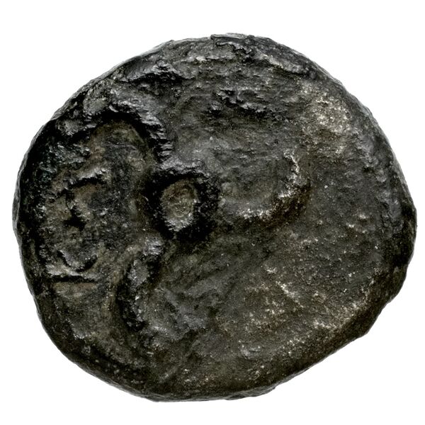 Perikles Lycia Hoff 2017 M242-3, реверс, bnf-iris