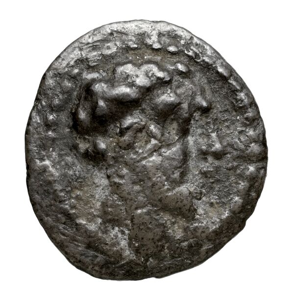 Euagoras I Salamis BMC Salamis 45-48, аверс, bnf-iris