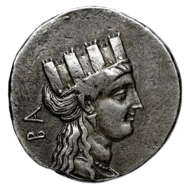 Euagoras II of Salamis Salamis BMC Salamis 66-67, аверс, BnF (IRIS)