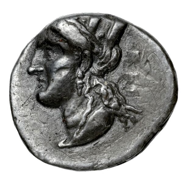 Euagoras II of Salamis Salamis BMC Salamis 66-67, аверс, BnF (IRIS)