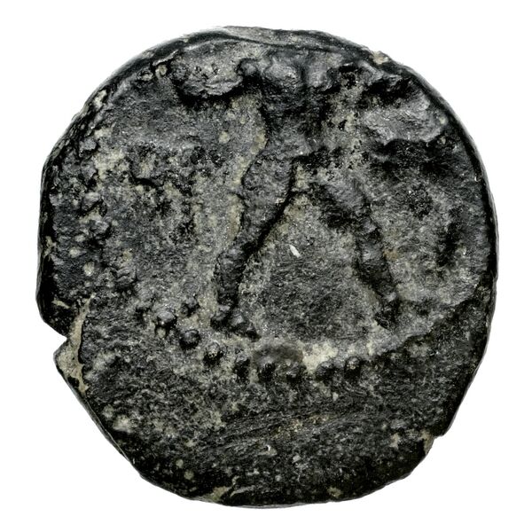 Melekiathon of Citium Citium BMC Citium 72-73, реверс, bnf-iris