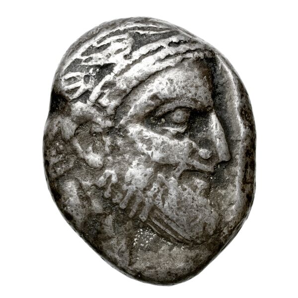 Aradus Elayi 2015 Pl. xiv, c13-16, аверс, bnf-iris