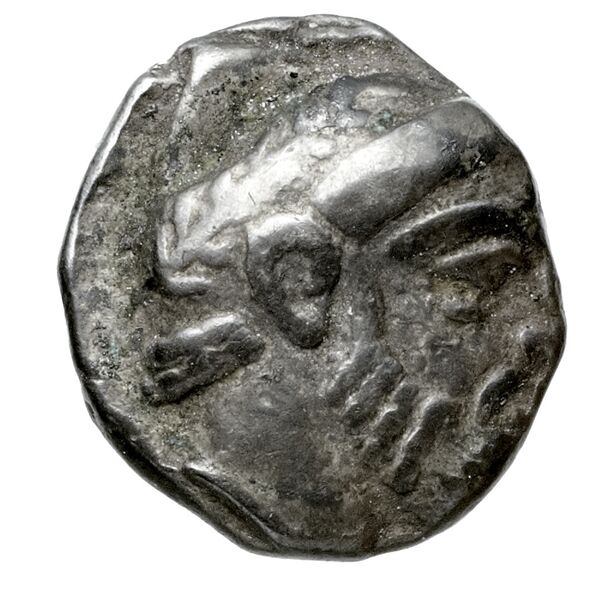 Aradus Elayi 2015 Pl. xiv, c17-20, аверс, bnf-iris