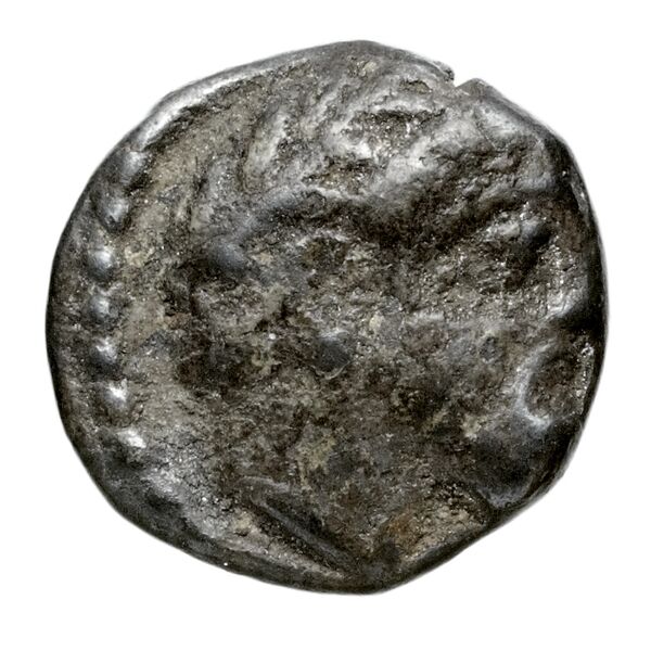 Aradus Elayi 2015 Pl. xiv, c17-20, аверс, bnf-iris