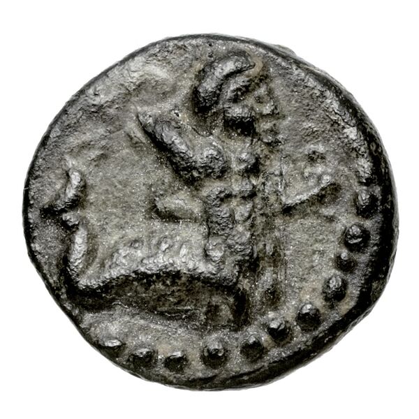 Aradus Elayi 2015 Pl. xiii, c1-5, аверс, bnf-iris
