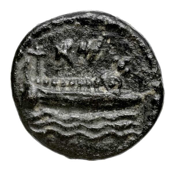 Aradus Elayi 2015 Pl. xiii, c1-5, реверс, bnf-iris