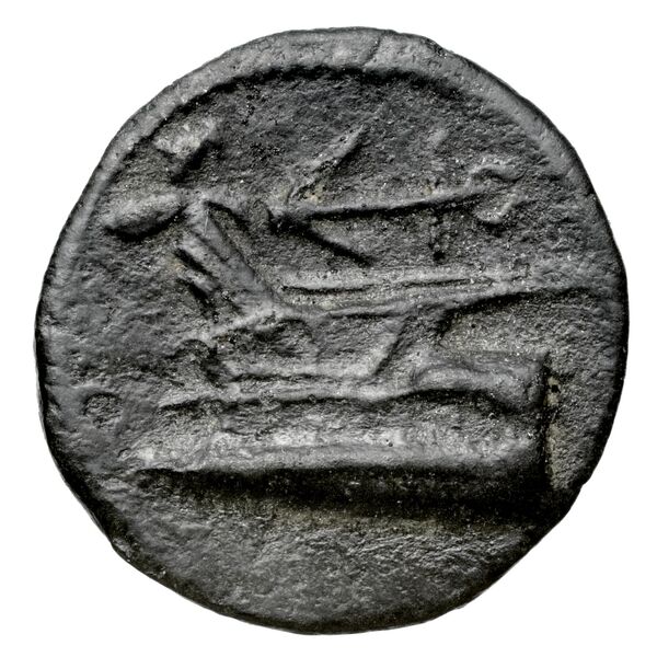 реверс Aradus Duyrat 2005 1095-1111