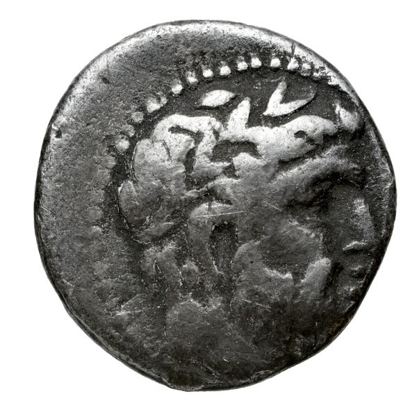 Aradus Duyrat 2005 1455-1557, аверс, bnf-iris