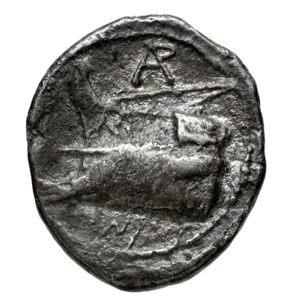Aradus Duyrat 2005 1558-1628, реверс, bnf-iris