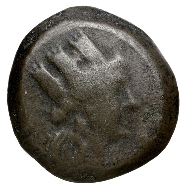 Aradus Duyrat 2005 1357-1454, аверс, bnf-iris