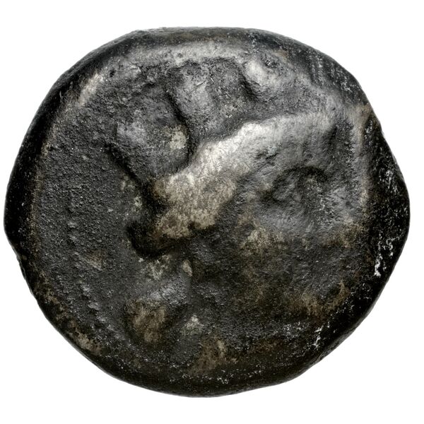 Aradus Duyrat 2005 1357-1454, аверс, bnf-iris