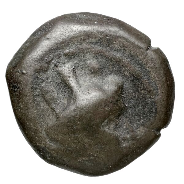 Aradus Duyrat 2005 1357-1454, аверс, bnf-iris