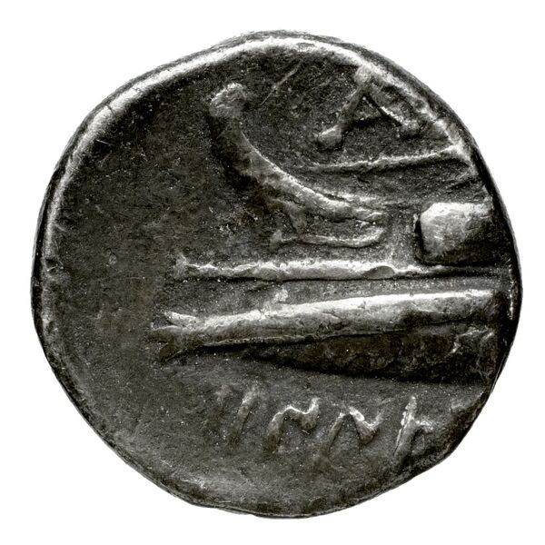 Aradus Duyrat 2005 1558-1628, реверс, bnf-iris