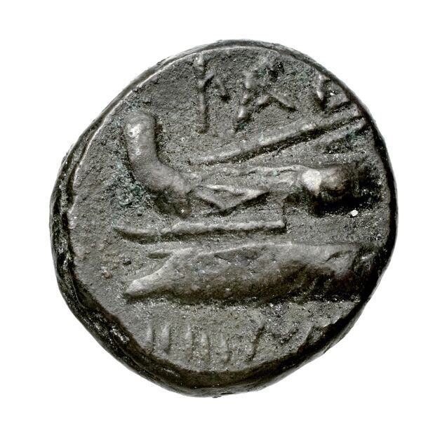 Aradus Duyrat 2005 1643-1732, реверс, bnf-iris