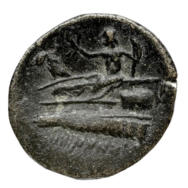 Aradus Duyrat 2005 2237-2492, реверс, bnf-iris