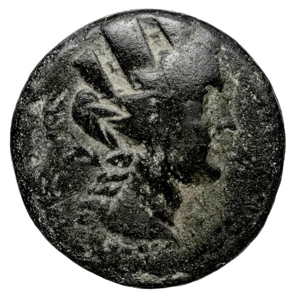 Aradus Duyrat 2005 2237-2492, аверс, bnf-iris
