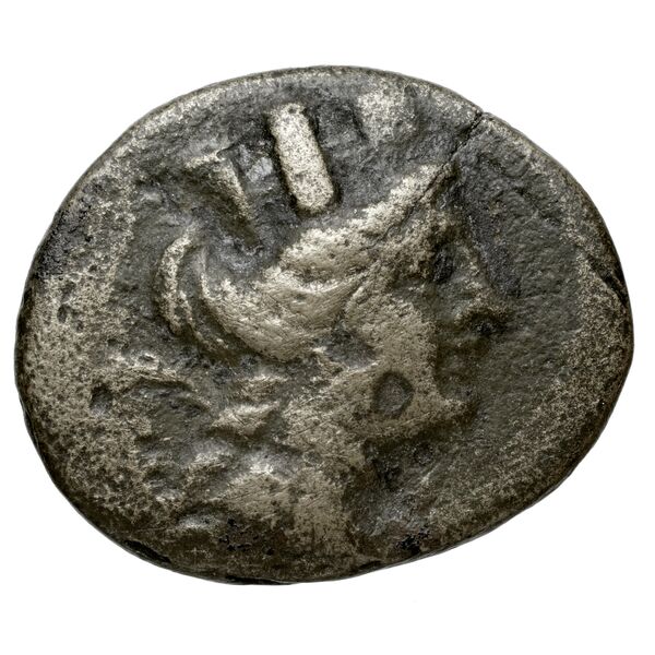 Aradus Duyrat 2005 2237-2492, аверс, bnf-iris