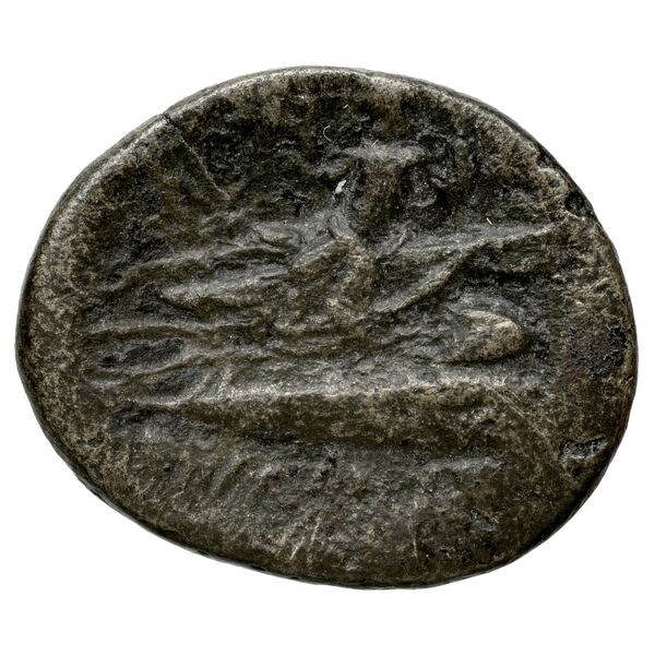 Aradus Duyrat 2005 2237-2492, реверс, bnf-iris
