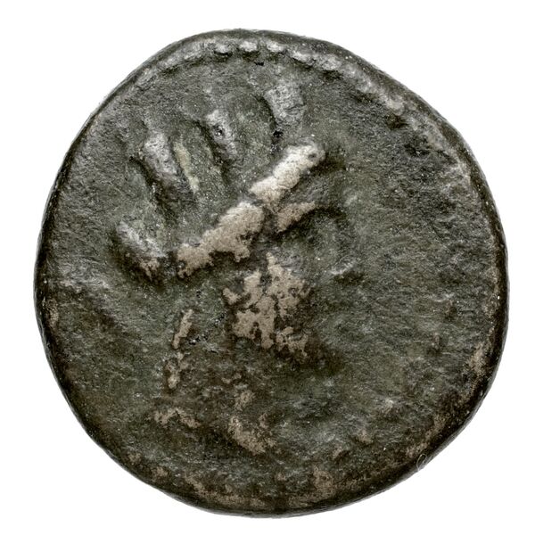Aradus Duyrat 2005 2495-2572, аверс, bnf-iris