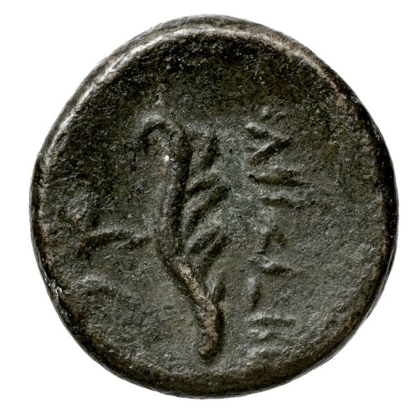Aradus Duyrat 2005 2495-2572, реверс, bnf-iris