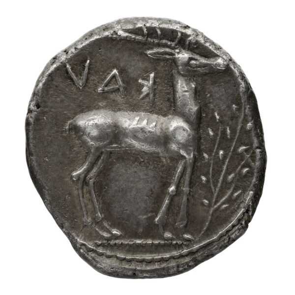 Caulonia Historia Numorum Italy 2046, реверс, bnf-iris